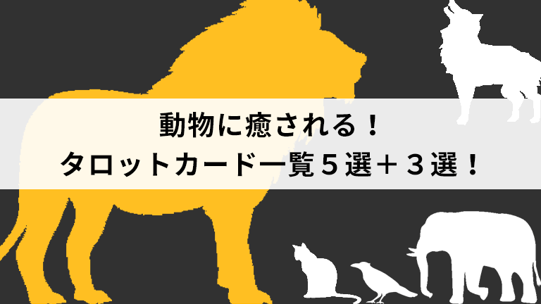 動物に癒される タロットカード一覧５選 ３選